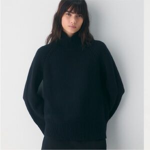 NWT Wilfred Trophy Wool Cashmere Turtleneck Sweater